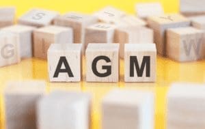 Image of blocks with the letters AGM